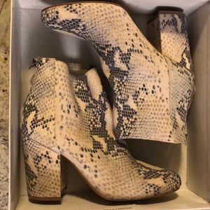 Steve Madden Snake print boots w/ box